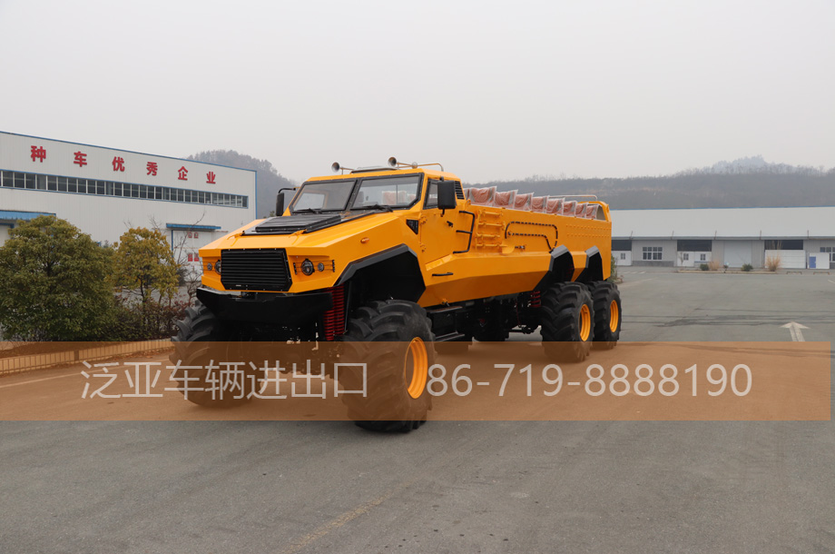 六驱沙漠冲浪车，旅游观光车可定制   （118万）