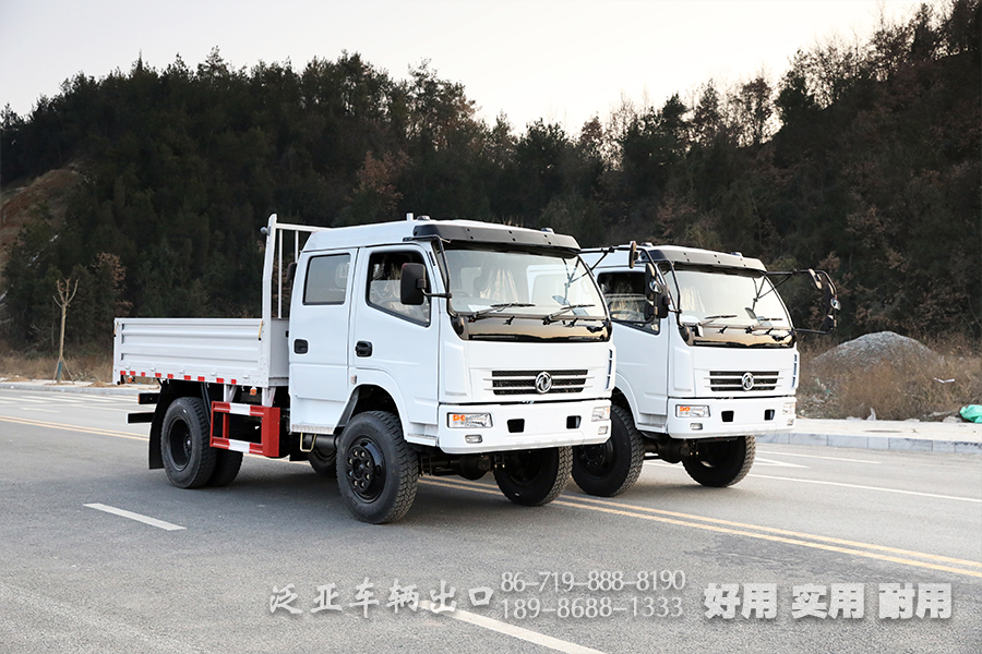 右舵卡车,双排卡车,出口专用车定制,4*4右驾货车,越野卡车,全驱车出口