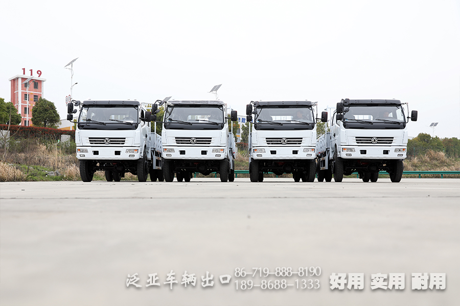 4*4东风卡车,轻型卡车,越野卡车,东风双排卡车,3吨小型卡车,货箱4.2米